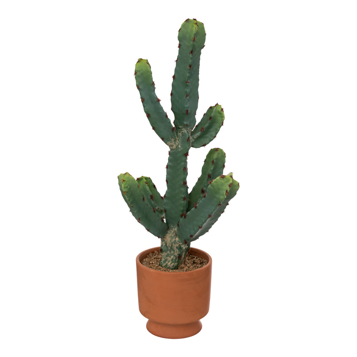 Artificial cactus with Terracotta pot, H49cm
