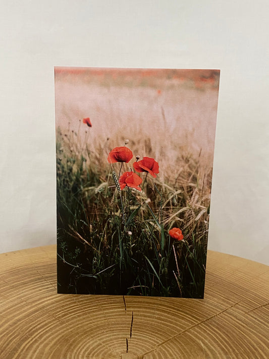 Greeting card - Poppies
