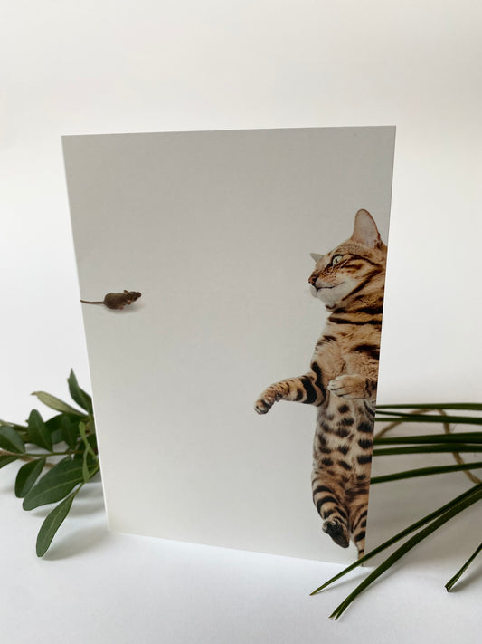  Greeting card - Bengal cat