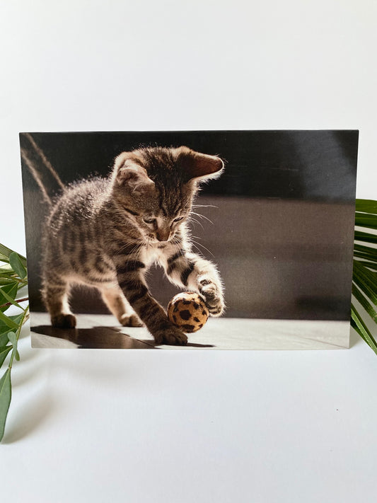 Greeting card - Cat